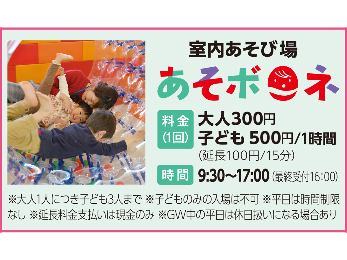 デンパーク フラワーフェスティバル