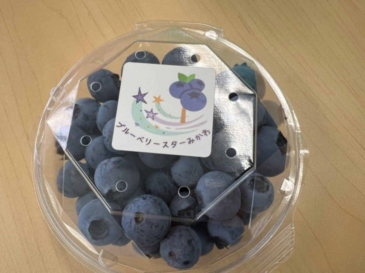 ブルーベリースターみかわ
