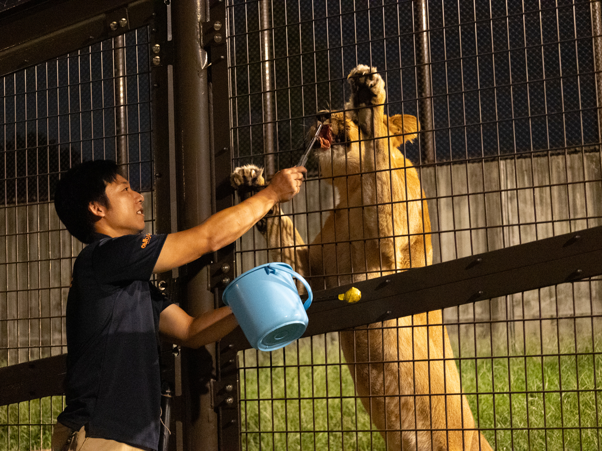 Non Hoi Park Night Zoo