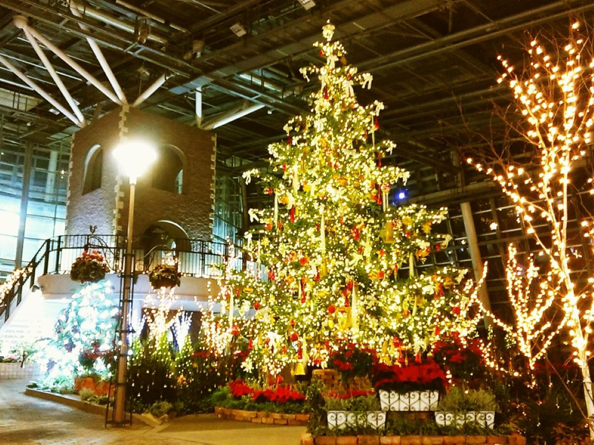 Anjo Industry Culture Park Denpark's Winter Festival