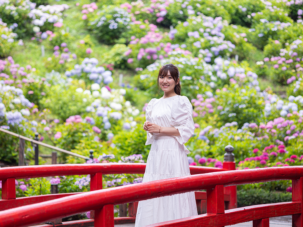 Katahara Onsen Hot Spring Hydrangea Festival