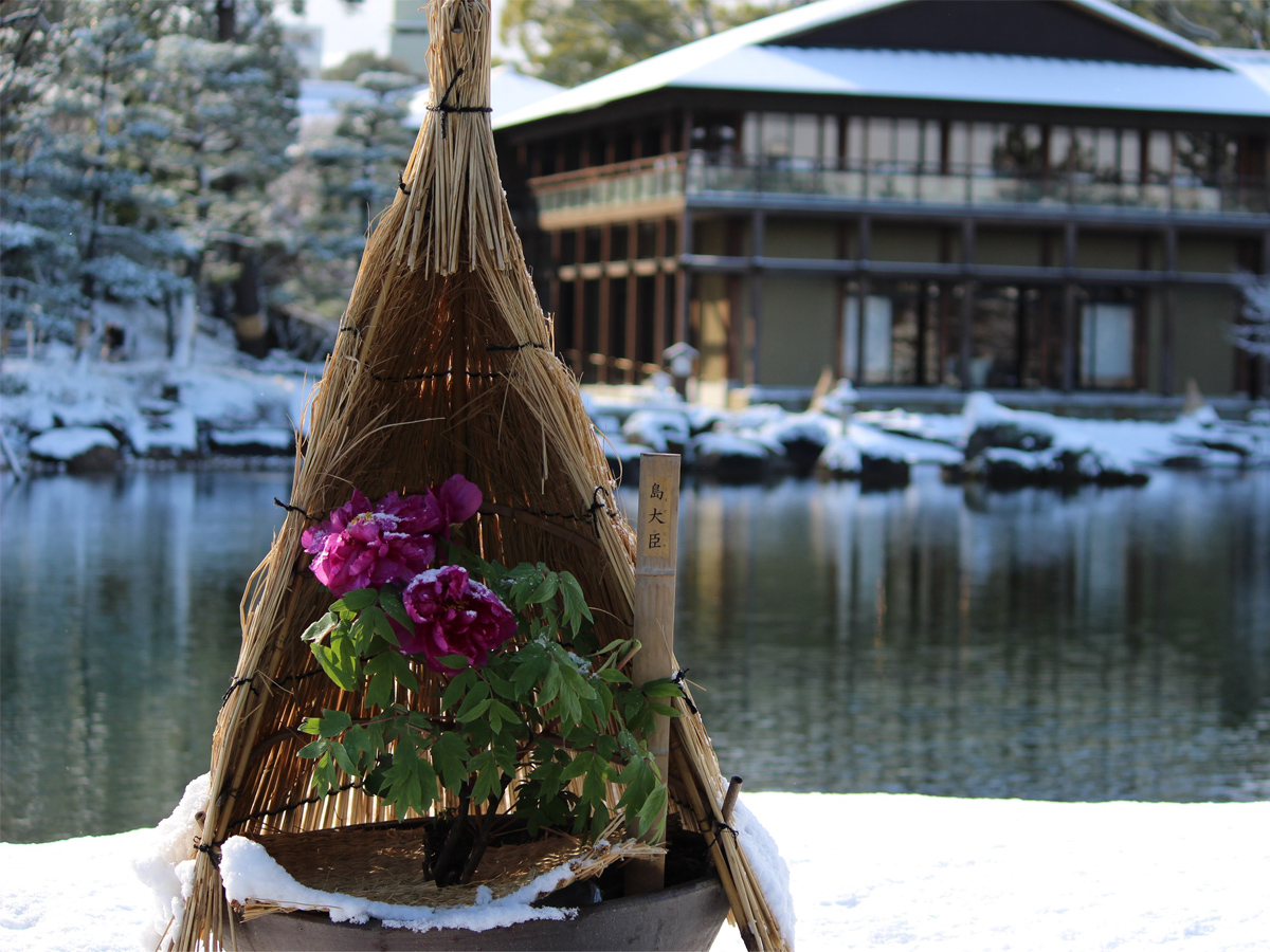 松を寿く　徳川園のお正月