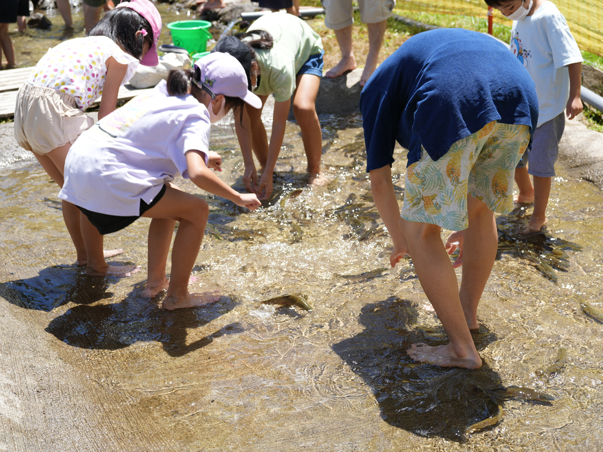 Summer Mt. Chausu Highland
