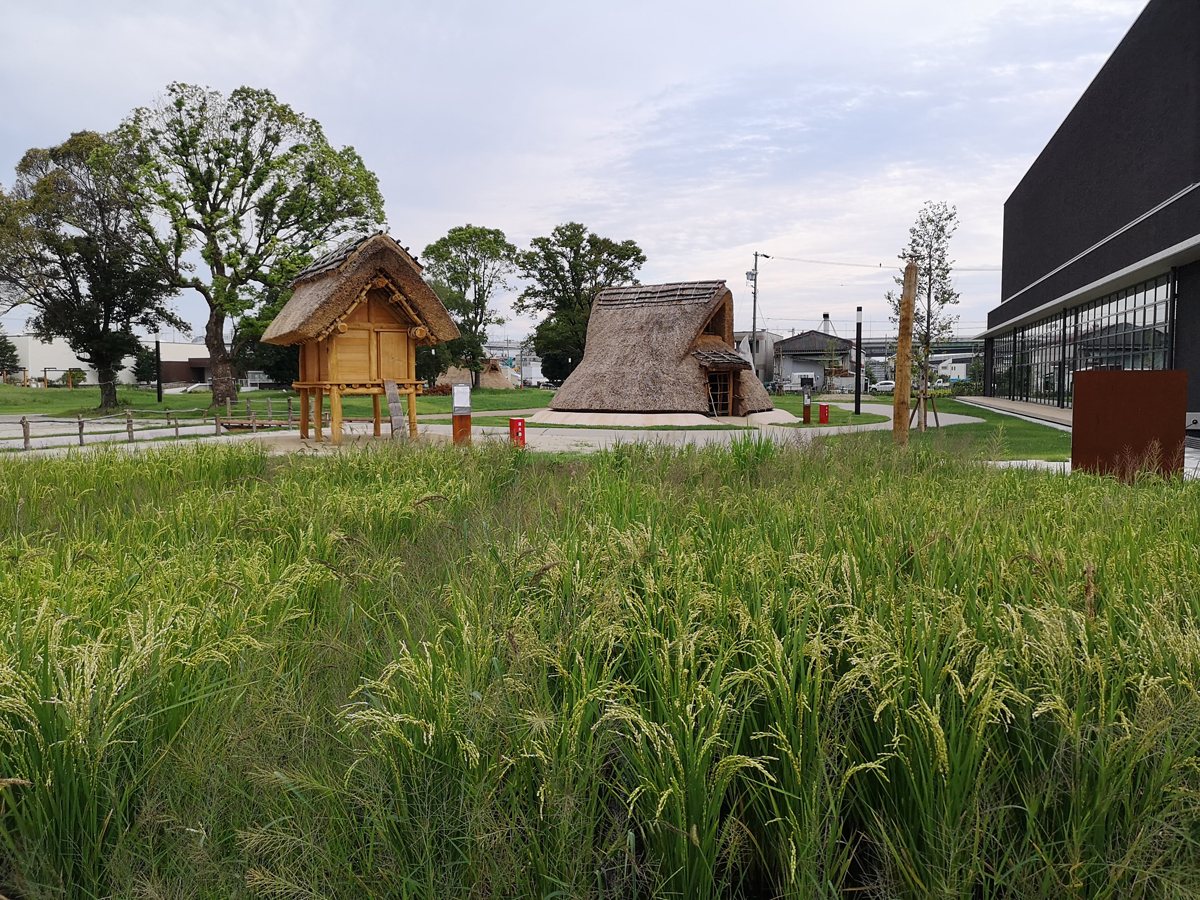 あいち朝日遺跡ミュージアム