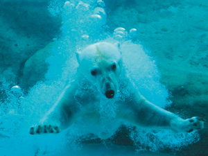 丰桥综合动植物园（Non hoi公园）