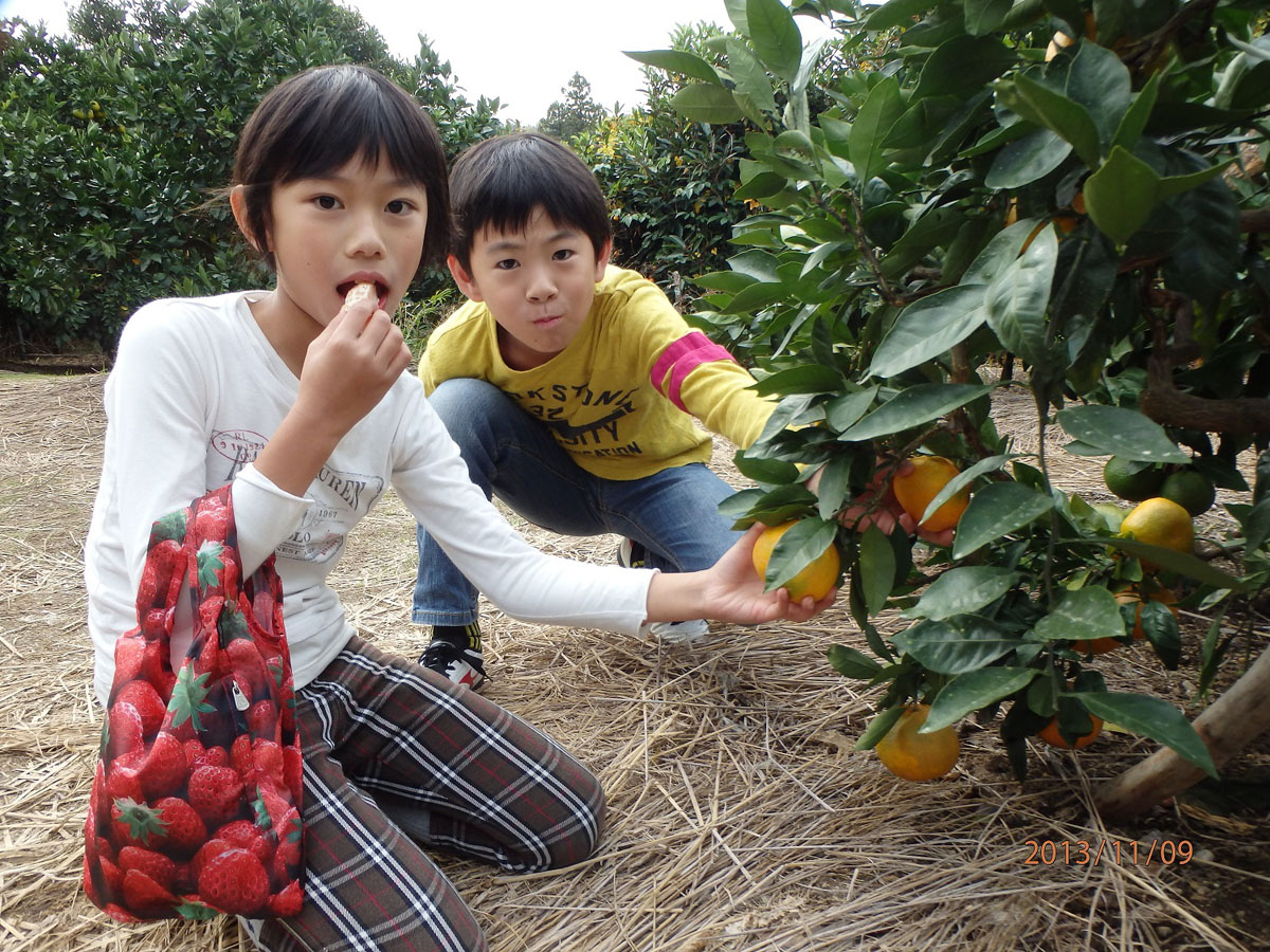 Minamichita Green Valley