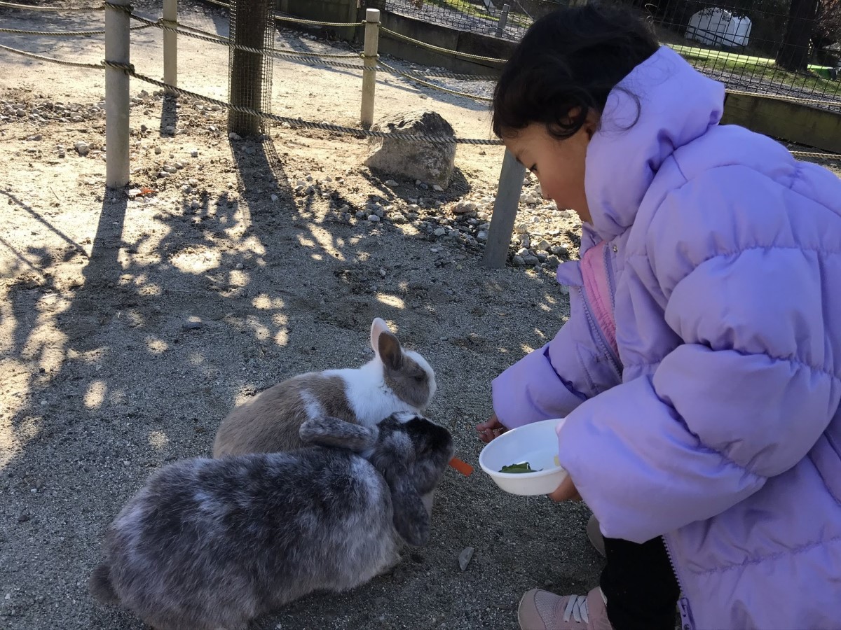 愛知牧場　雪まつり