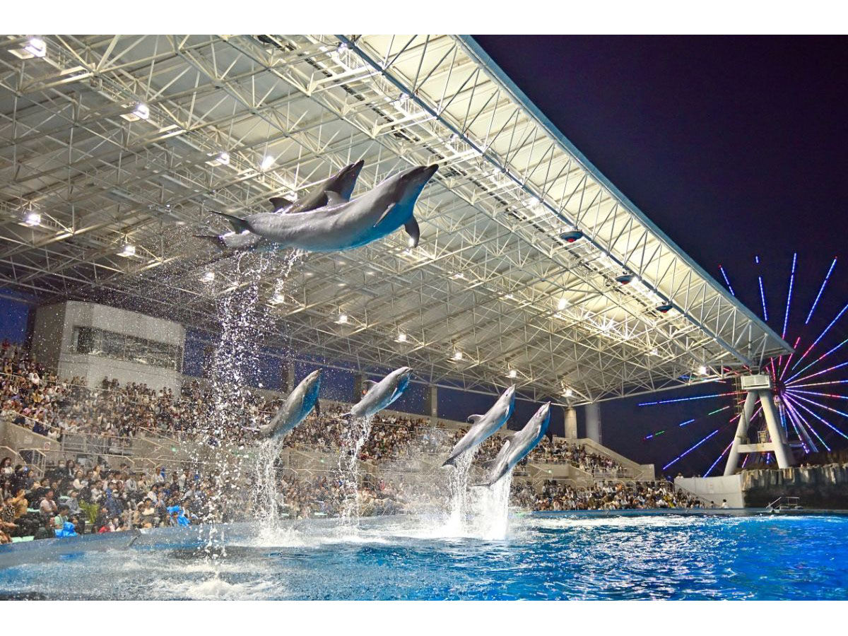 Port of Nagoya Public Aquarium Golden Week Night Aquarium