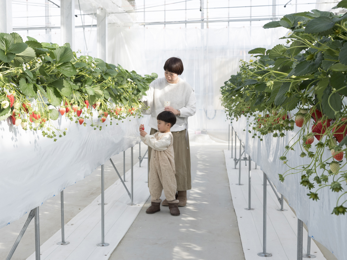 山笑う里　いちご狩り　