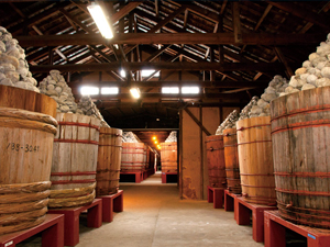 Old Streets Lined with Miso Storehouses (Hatchokura-dori)