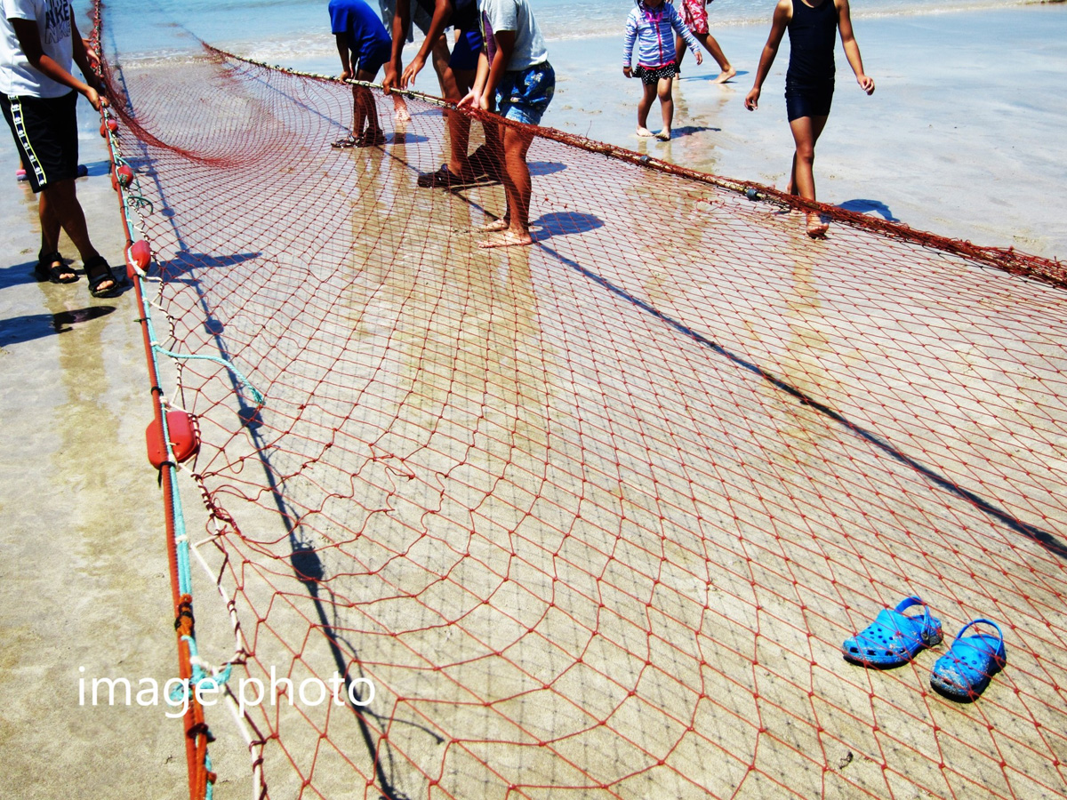 木曽川で地引き網体験