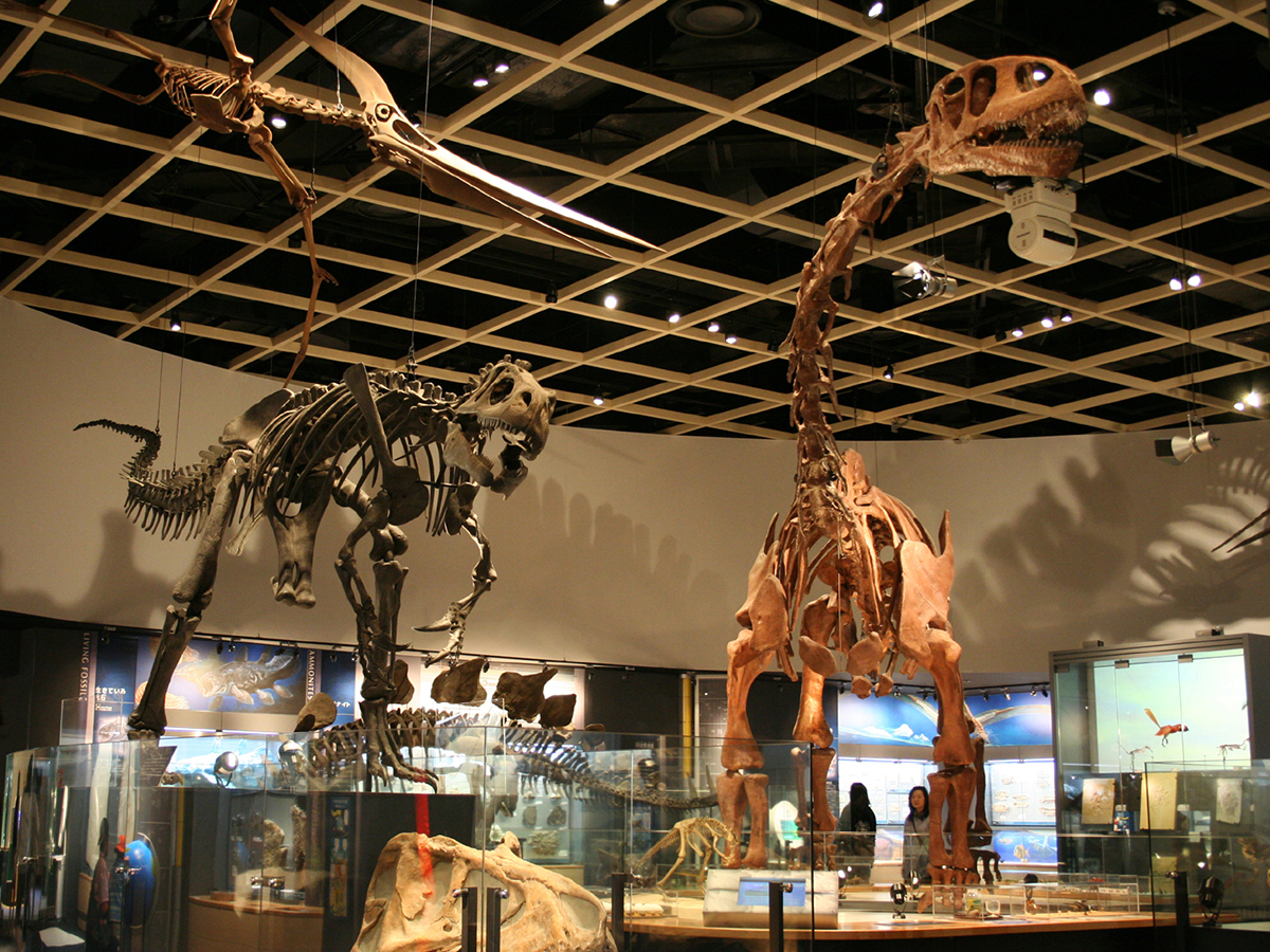 Toyohashi Zoo & Botanical Park (Non Hoi Park)