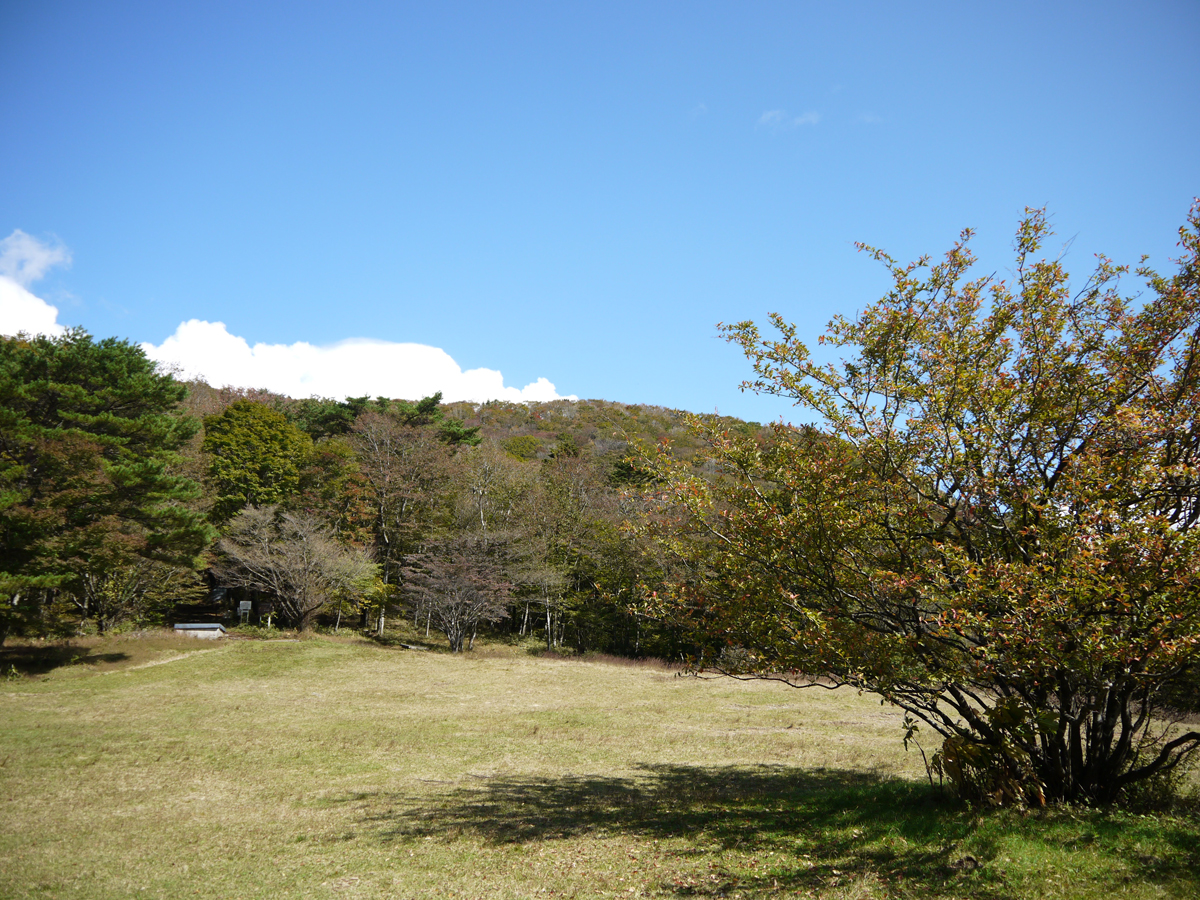 面ノ木園地(天狗棚)