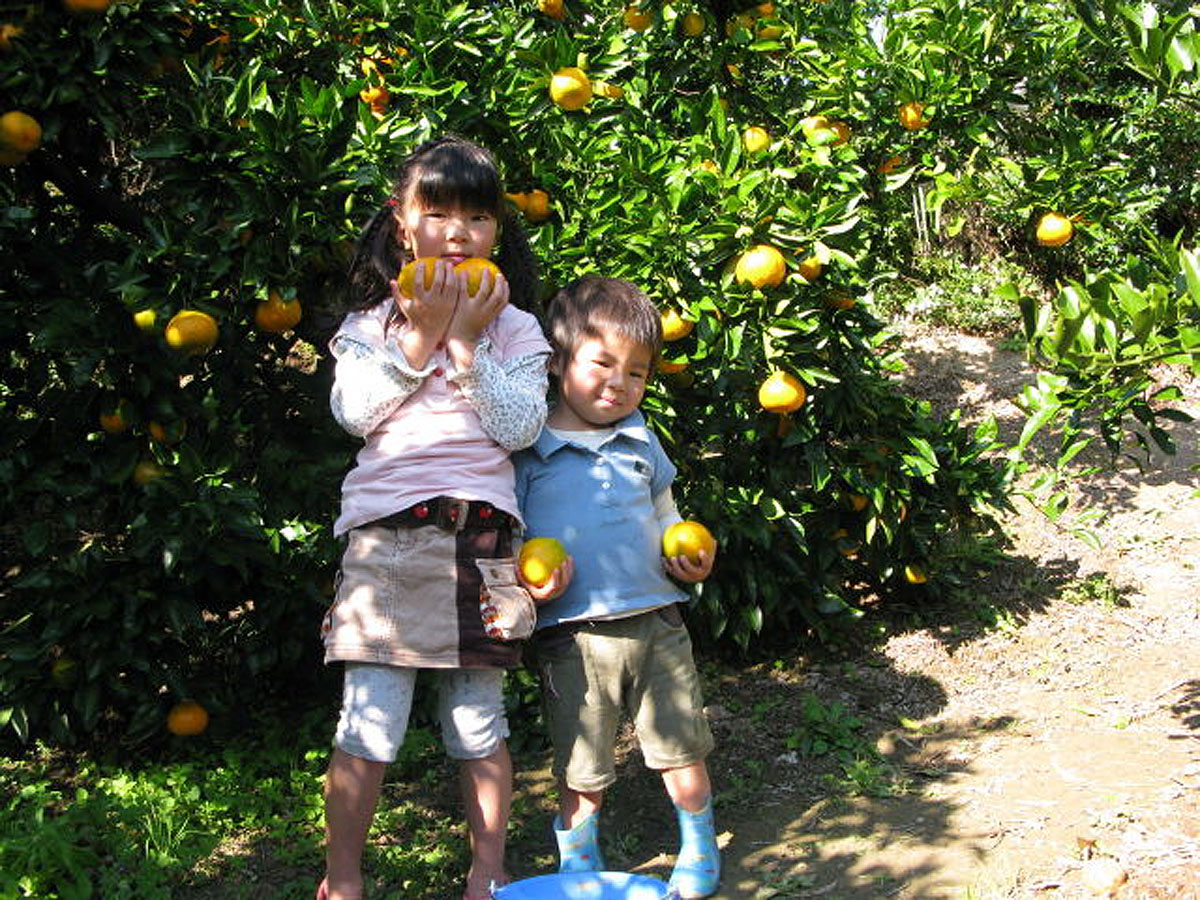 田中農園　内海フルーツ村