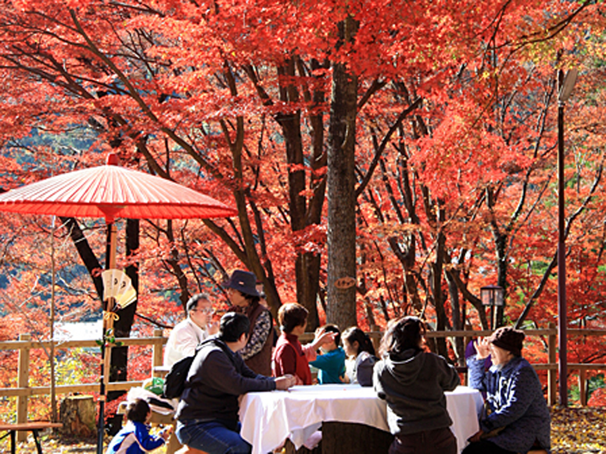 笹戸温泉じねんじょ・もみじまつり