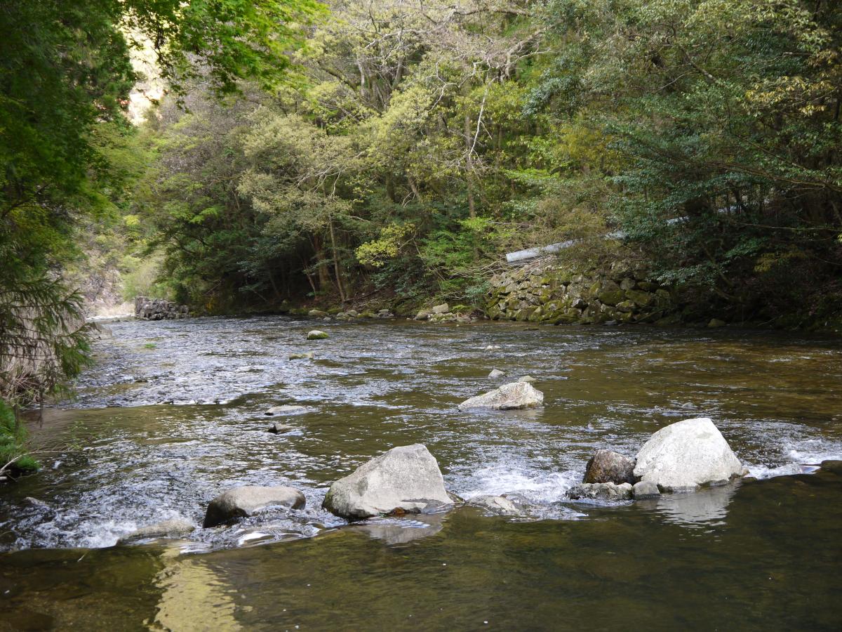 ひやひやランド