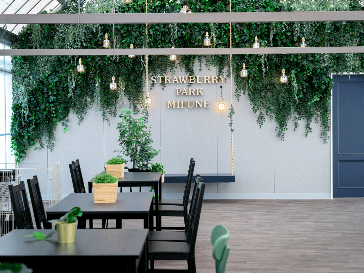 ストロベリーパークみふね 夜のいちご狩り2023