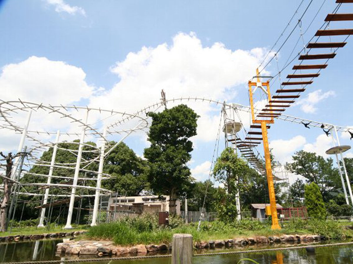 日本モンキーセンター