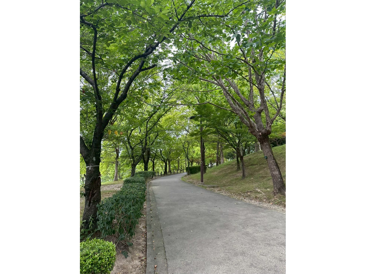 長久手謎解きイベント「封印都市ナガクテ　​戦国の秘宝と未来の鍵」