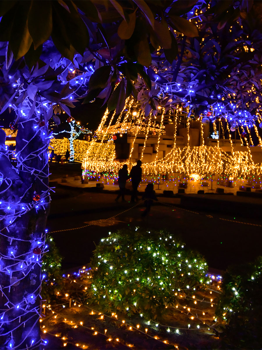 Chiryu Dream Light Display