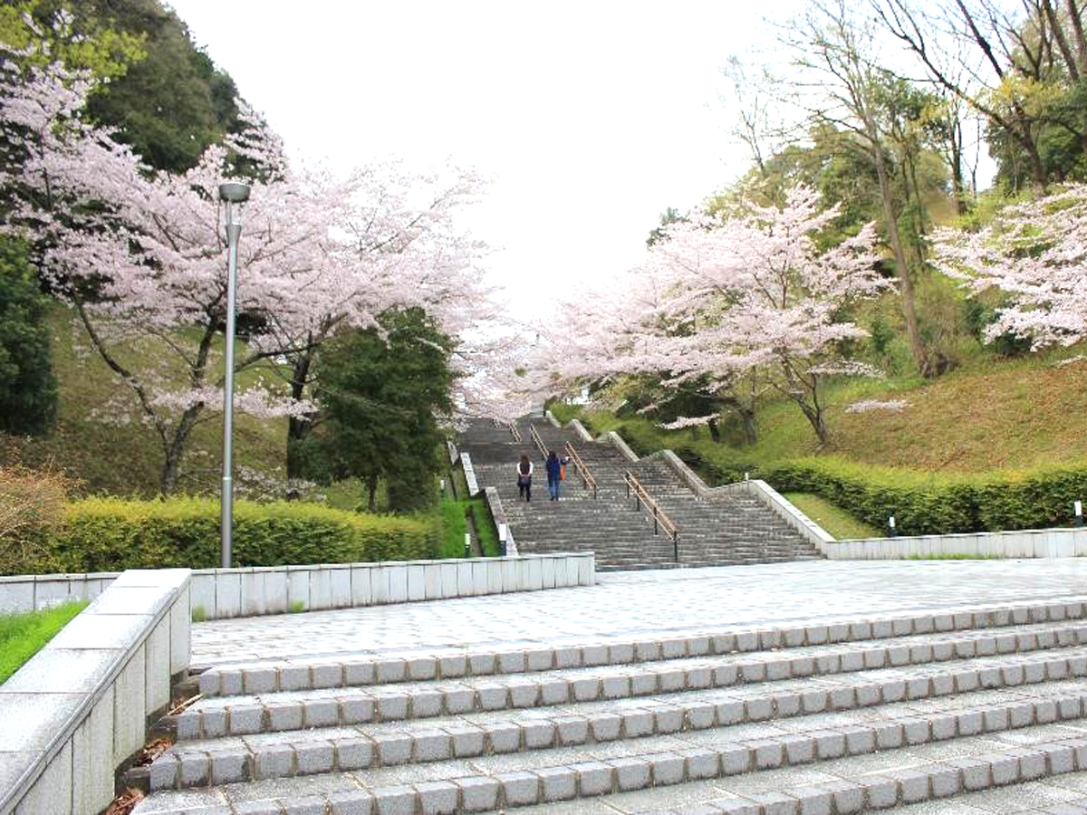 Shinshiro Comprehensive Park (Shinshiro Sogo Koen)