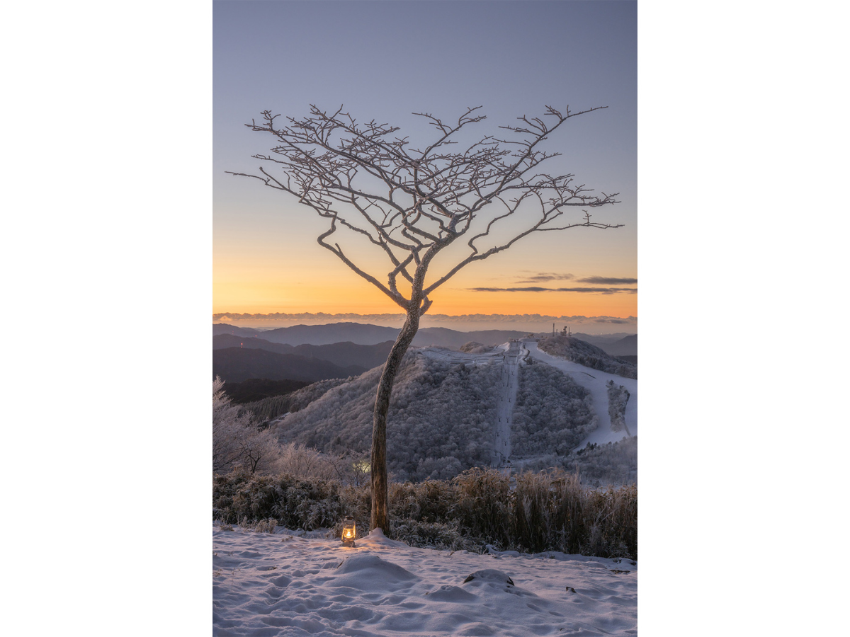 穂っとネット東三河フォトコンテスト