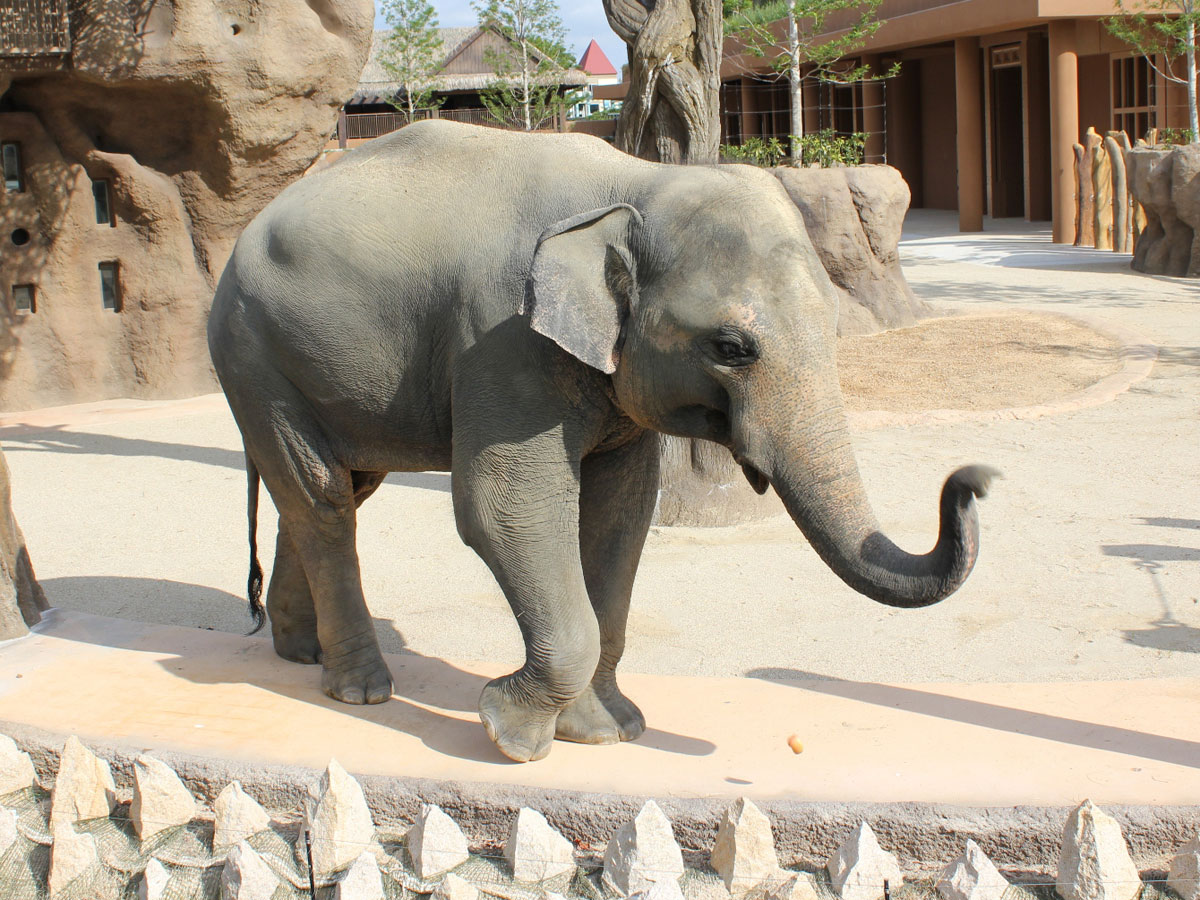 名古屋東山動植物園