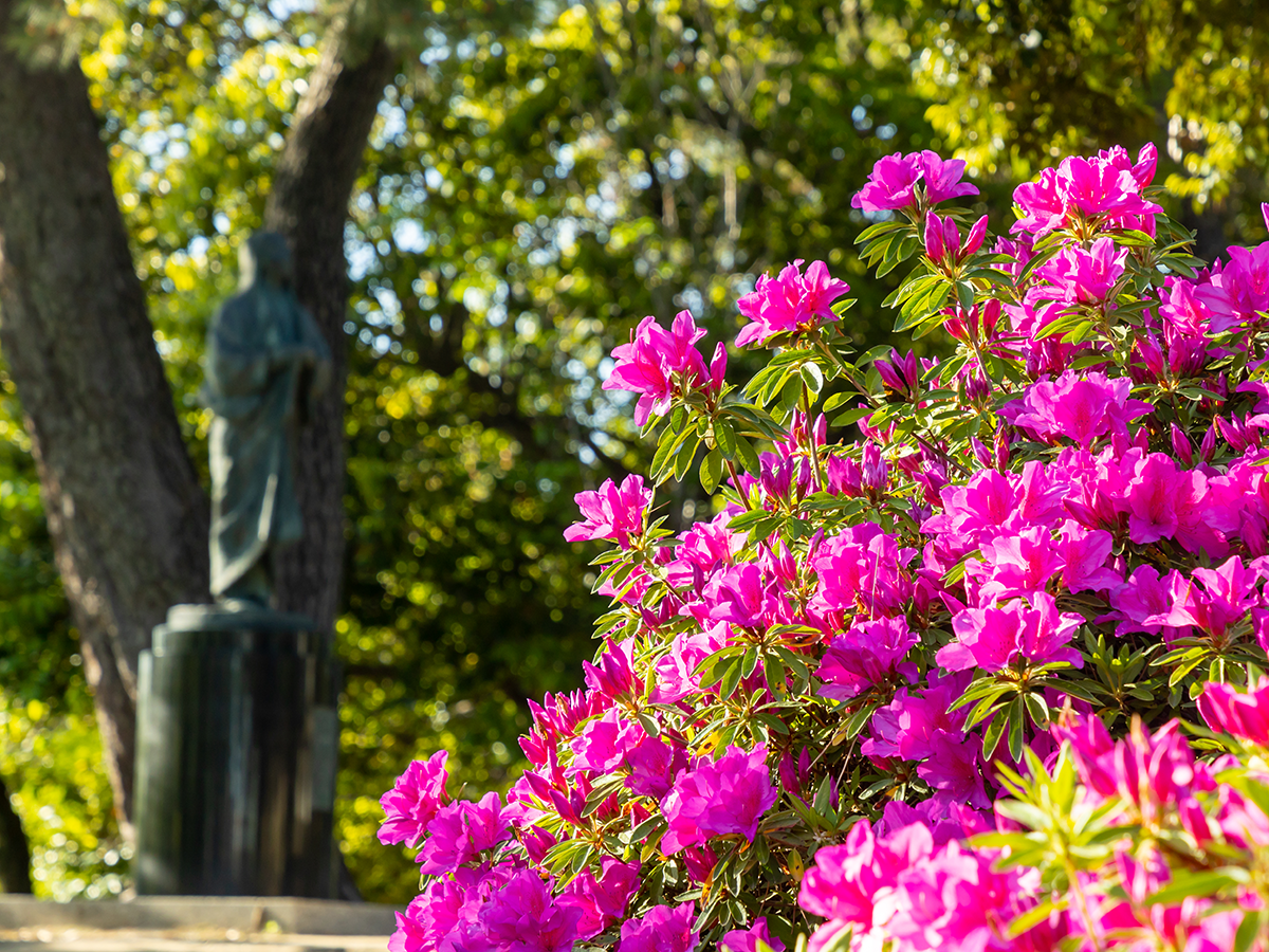 清洲古城跡公園
