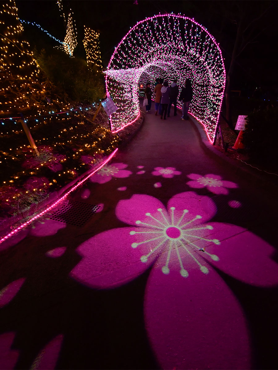 Chiryu Dream Light Display