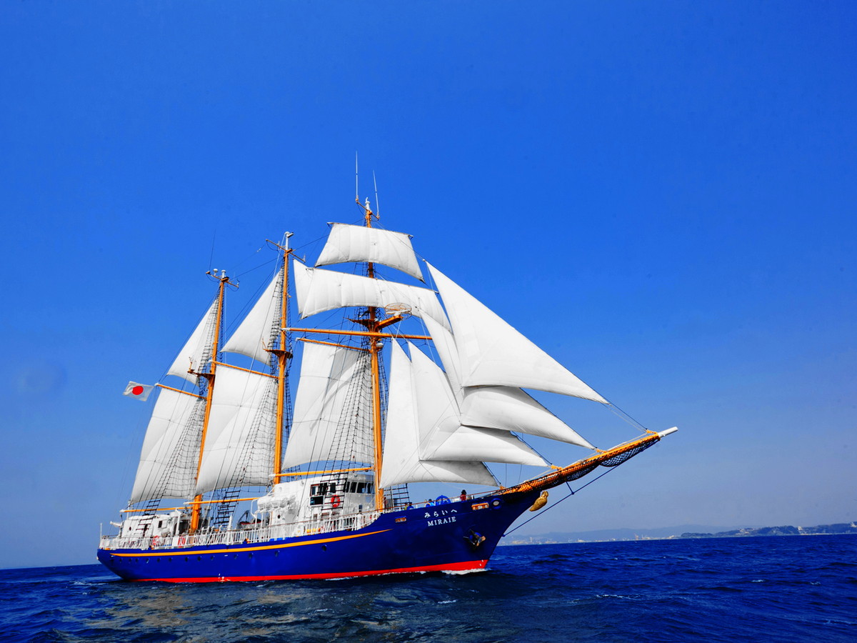 Sea Festival East Mikawa