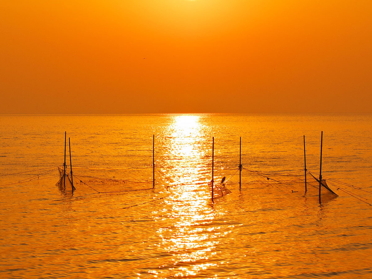 西浦海岸　潮干狩り