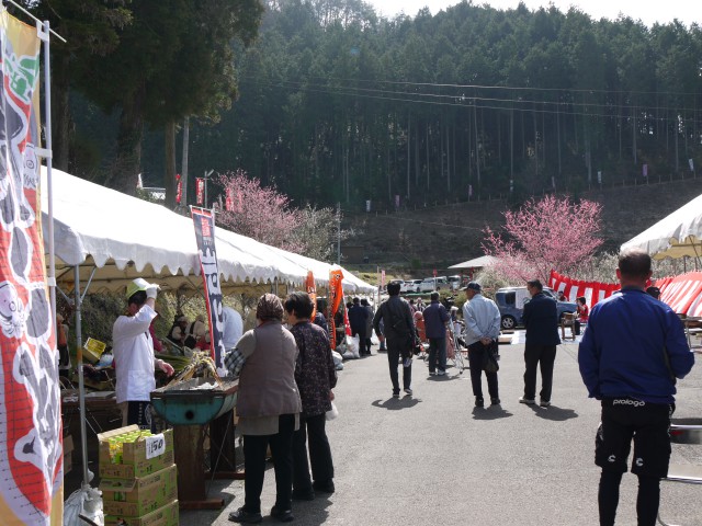筑波之鄉梅花節