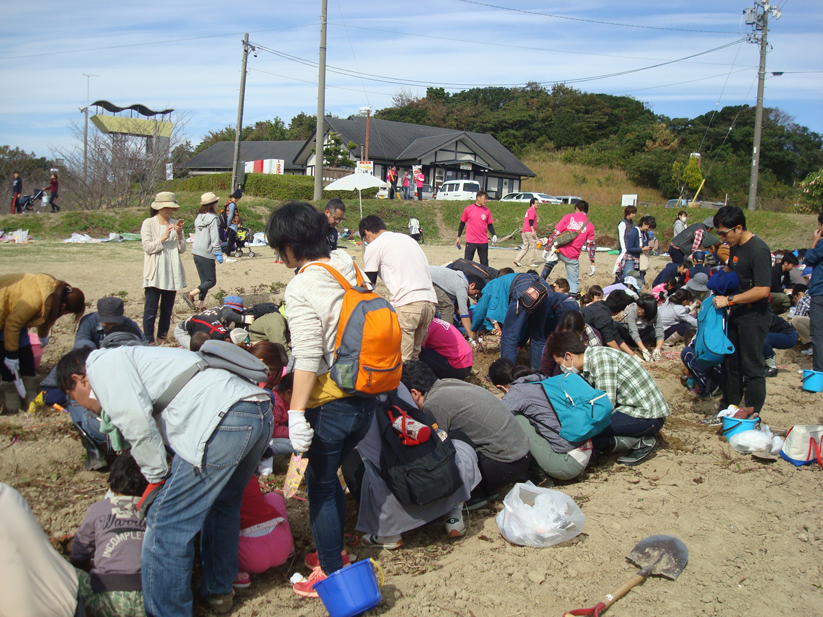 小脇公園いも掘り