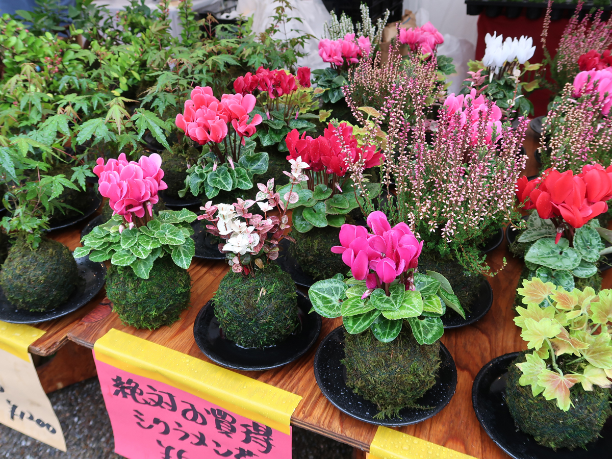 あいち花マルシェ