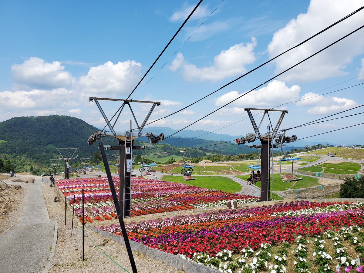 秋の茶臼山高原まつり