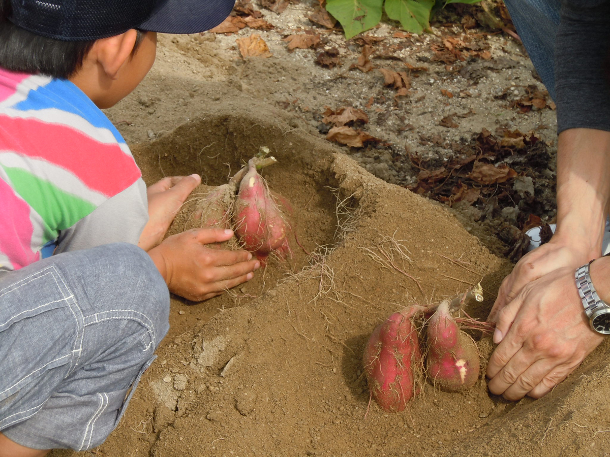 헤키난시 농업활성화센터 아오이 파크