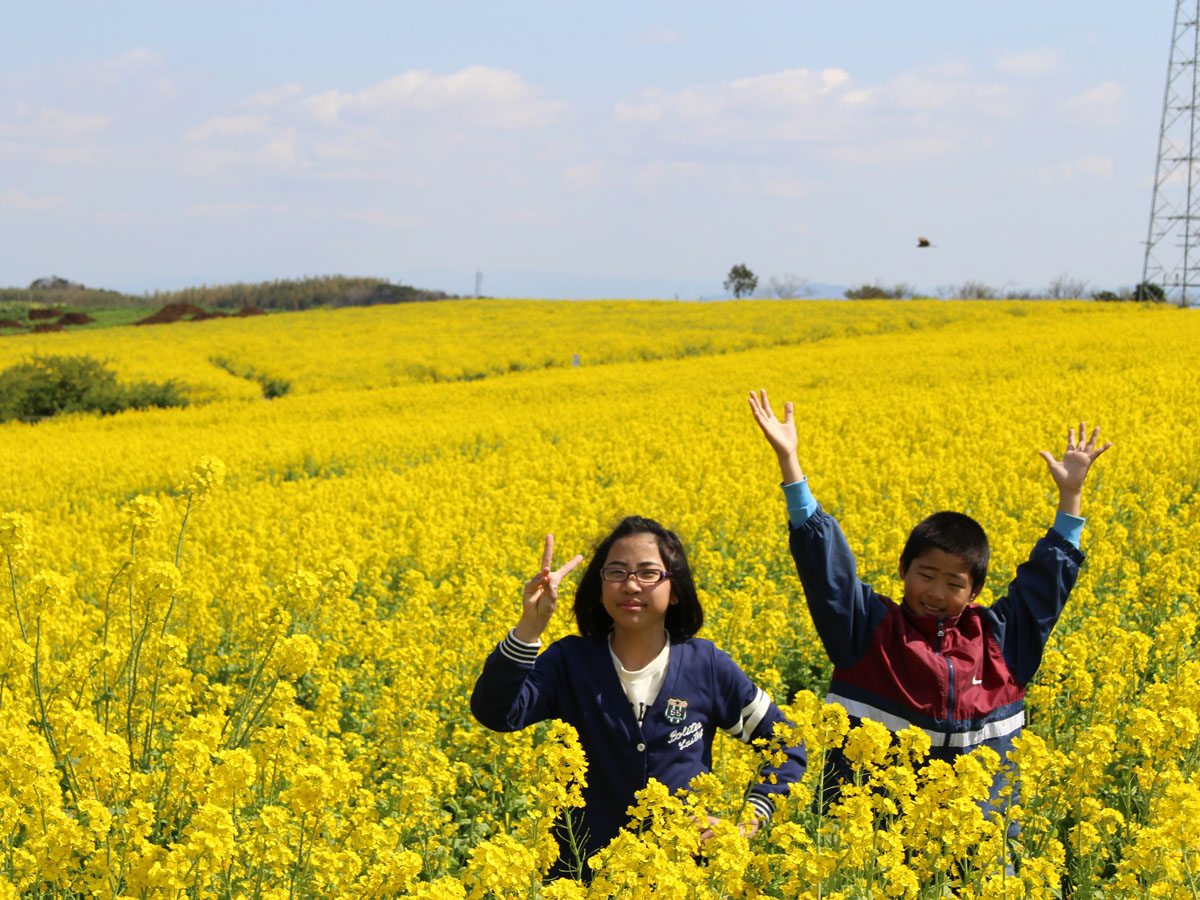 ฟาร์มสำหรับการท่องเที่ยว ฮานะ ฮิโรบะ