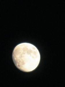 小渡梦竹灯笼节和中秋赏月会