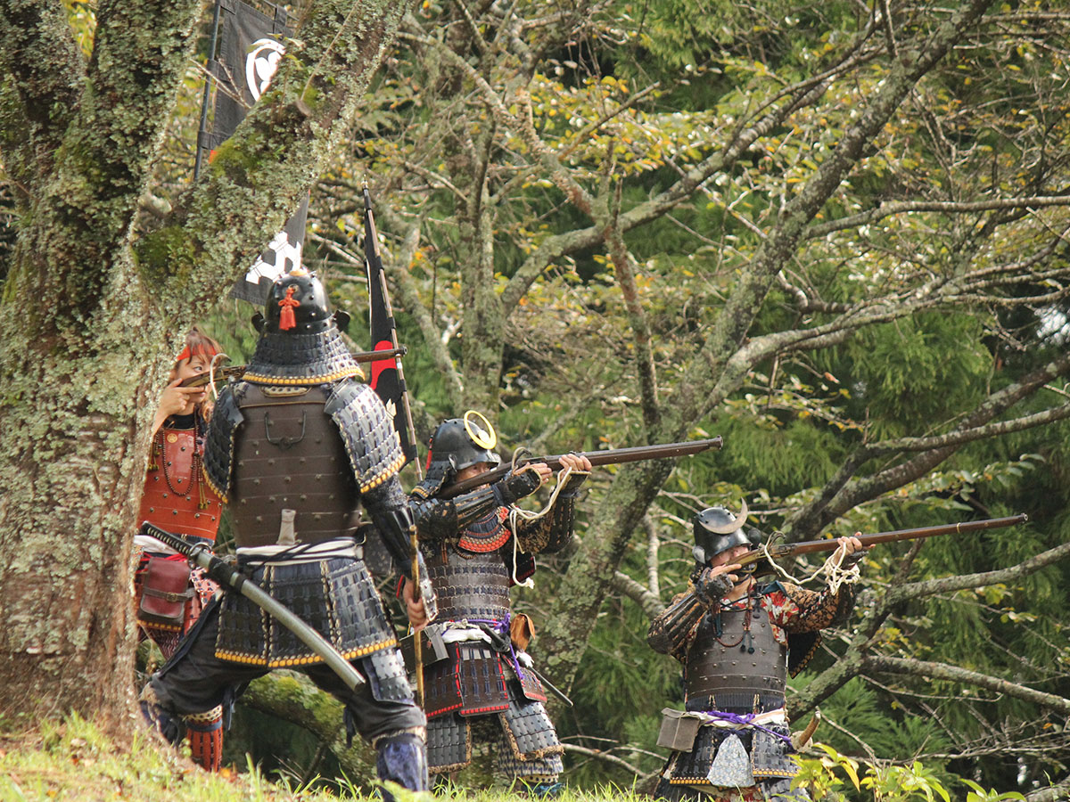Historic Damine Castle Festival (Rekishi-no-sato Damine-jo Matsuri)