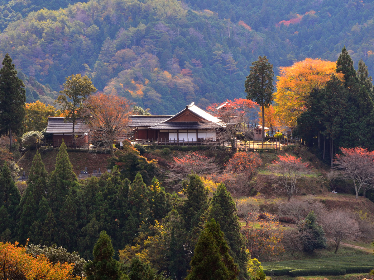 Historic Damine Castle Festival (Rekishi-no-Sato Damine-jo Matsuri)