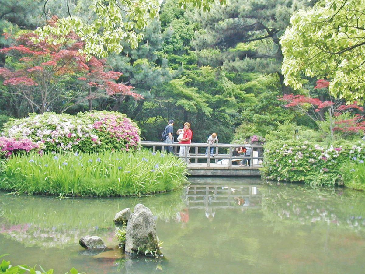 大倉公園つつじまつり