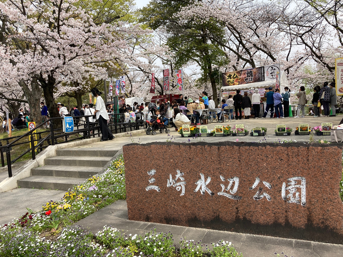 桜フラワーフェスタ