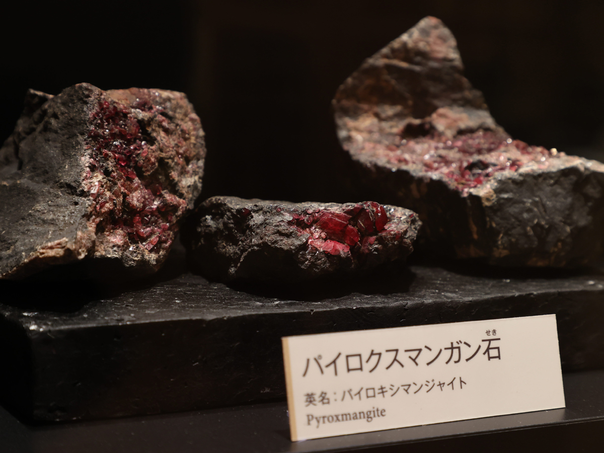 Okumikawa Local History Museum