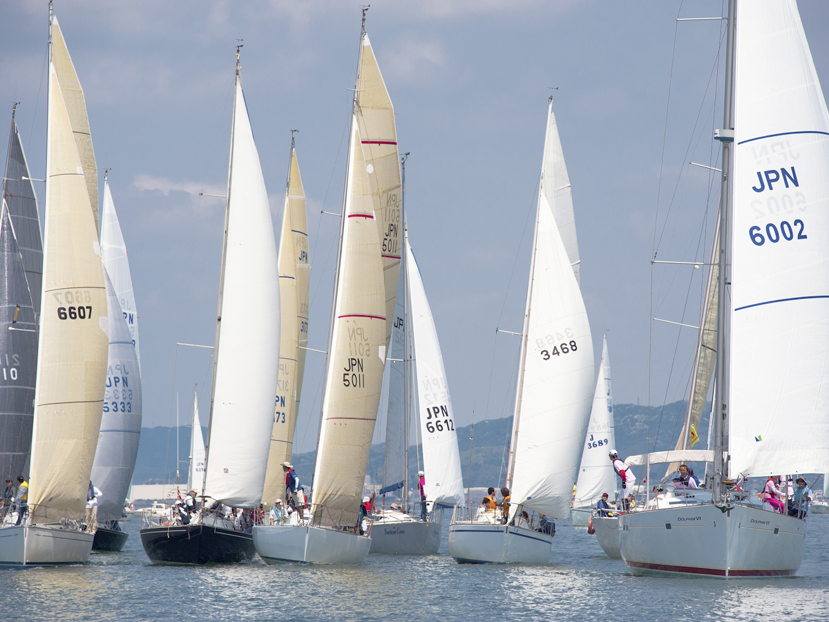 爱莉卡杯帆船赛