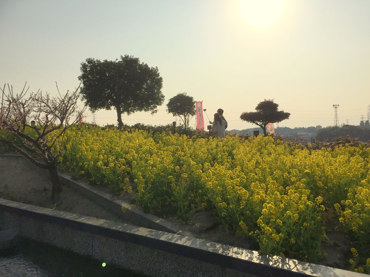 เทศกาลดอกบ๊วยที่สระโซริ ครั้งที่ 35 และครบรอบ 55 ปี แห่งการก่อตั้งเมืองชิตะ