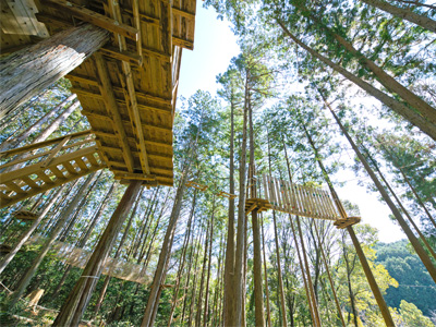Forest Adventure SHINSHIRO