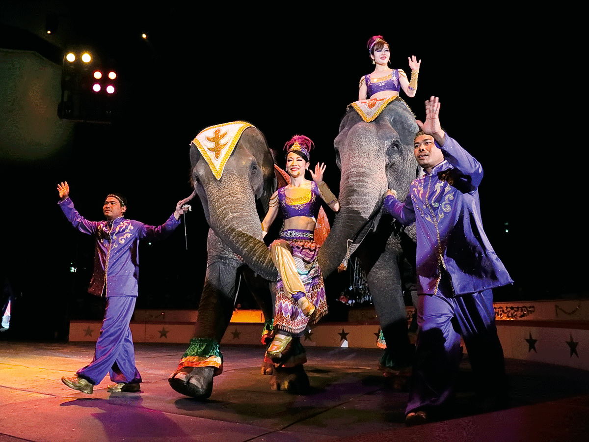 木下大サーカス