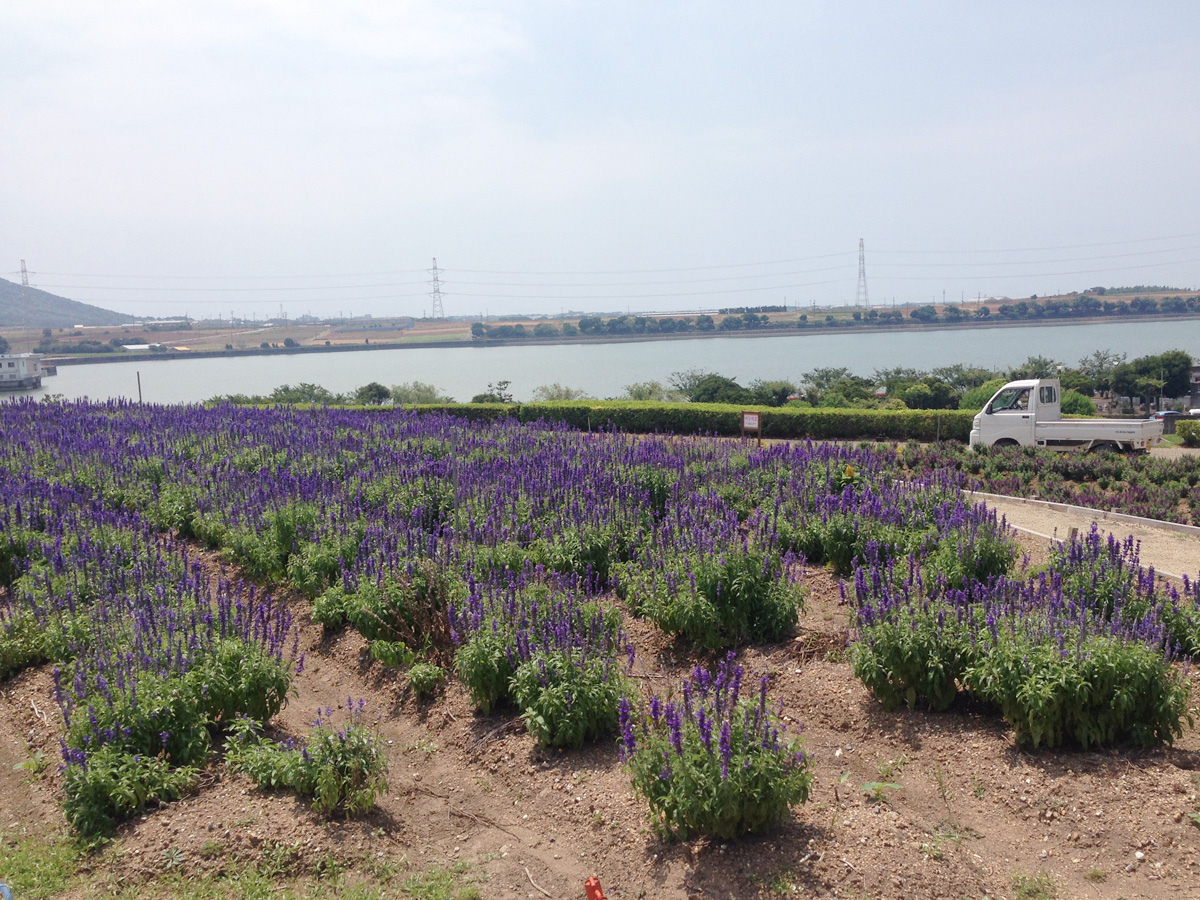 サンテパルクたはら