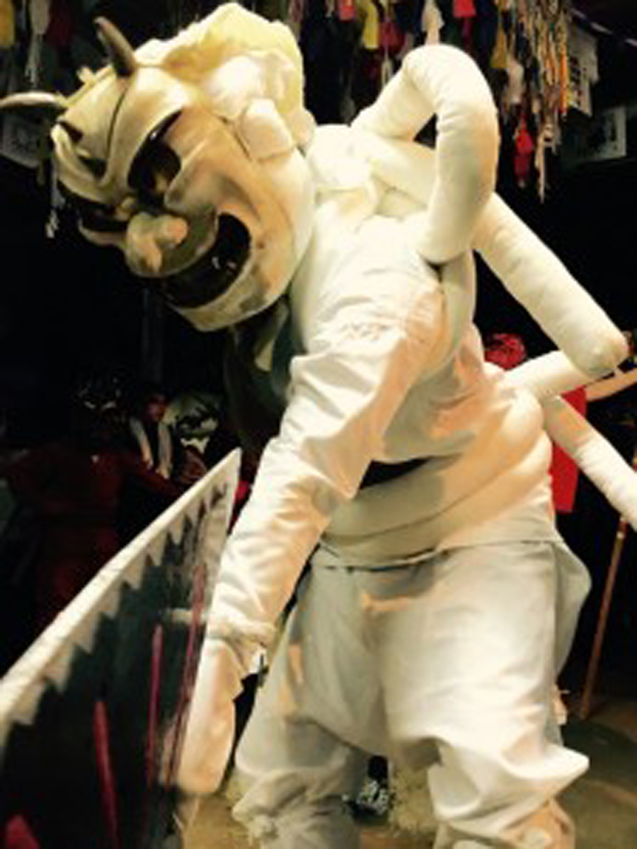 Naka-Zaike Hana Festival