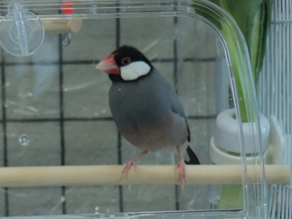 弥富市歴史民俗資料館